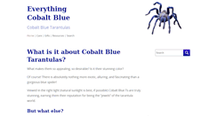 Desktop Screenshot of everything-cobalt-blue.com
